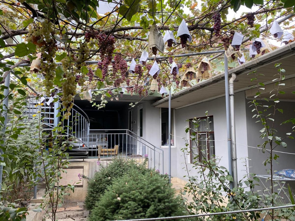 Guest House Vip Osh Dış mekan fotoğraf