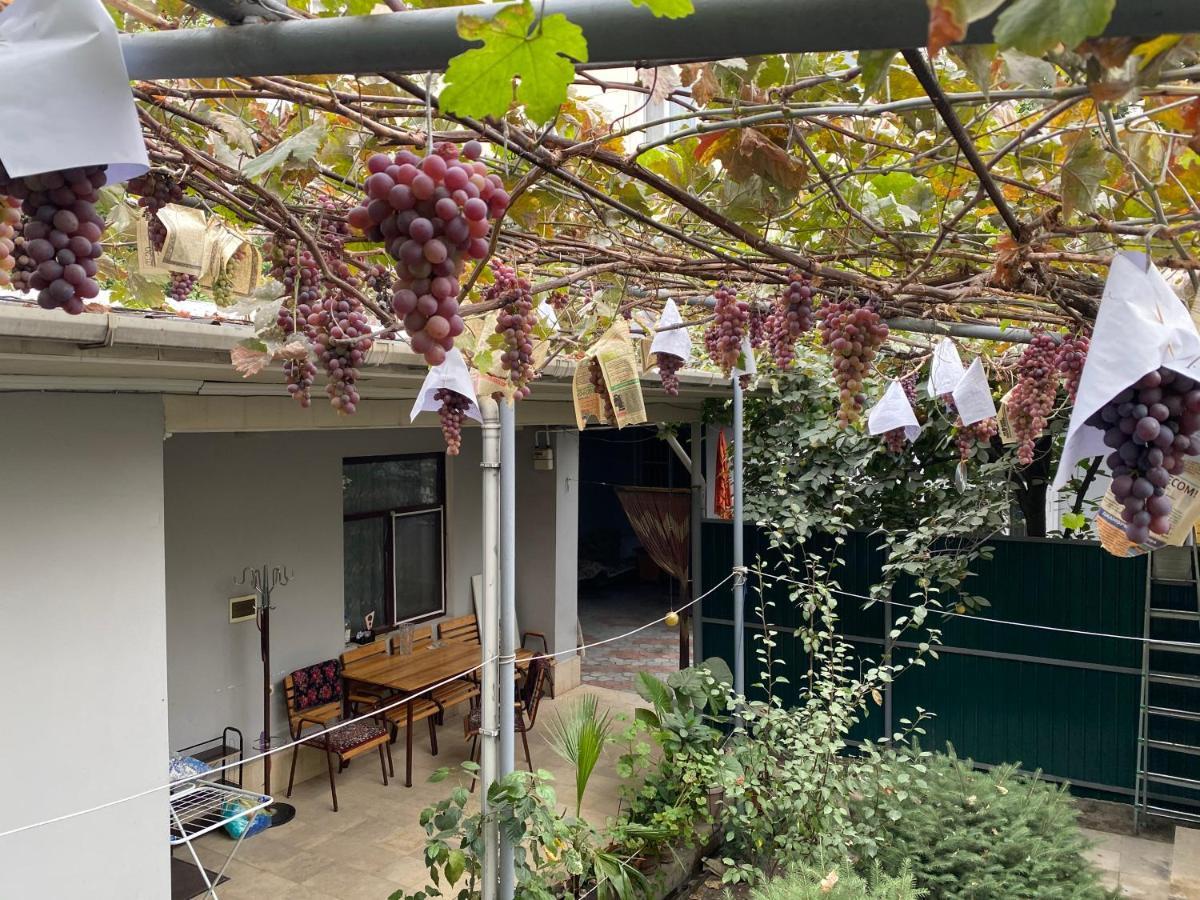 Guest House Vip Osh Dış mekan fotoğraf